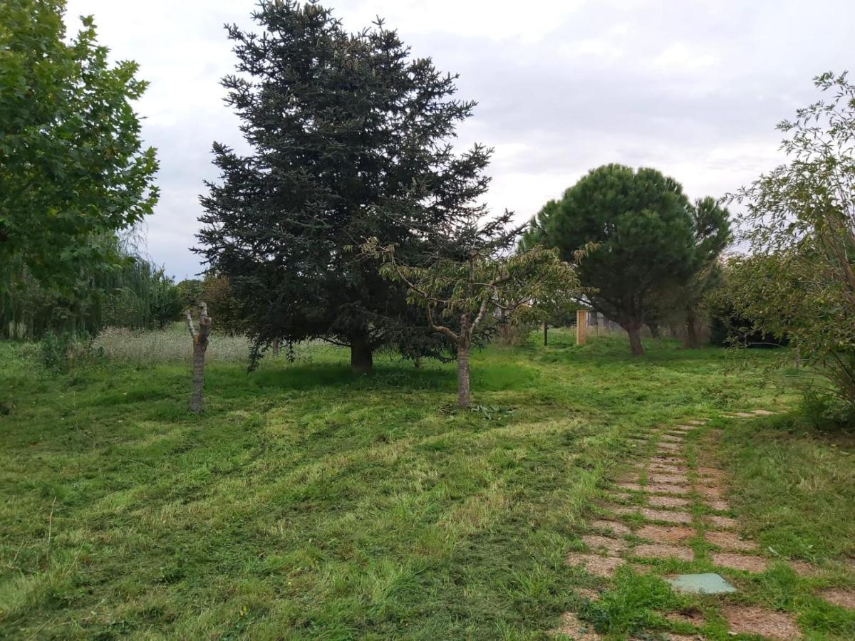 Casa Chalet En El Campo Barbadillo المظهر الخارجي الصورة