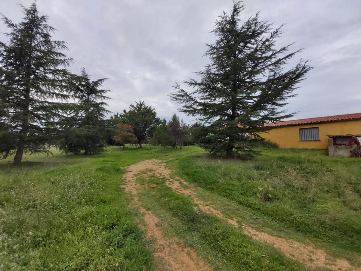 Casa Chalet En El Campo Barbadillo المظهر الخارجي الصورة