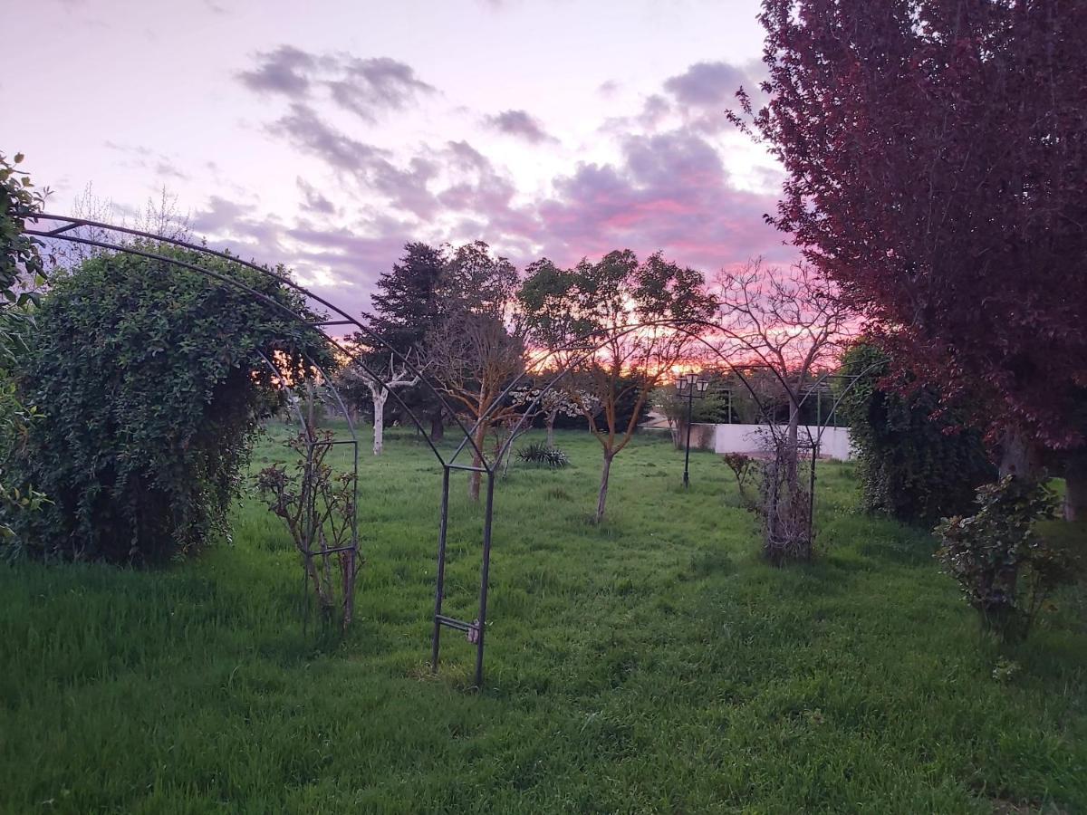 Casa Chalet En El Campo Barbadillo المظهر الخارجي الصورة